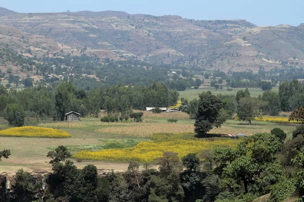 在埃塞俄比亚景观 — 图库照片