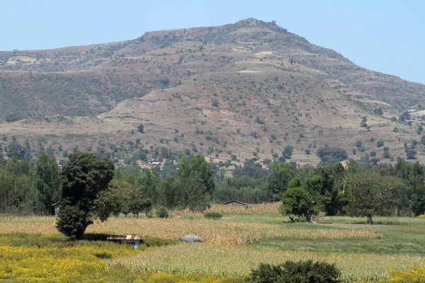 Il Paesaggio in Etiopia — Foto Stock