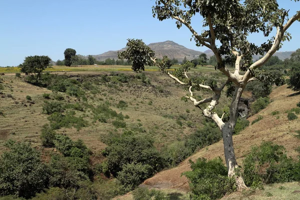 Il Paesaggio in Etiopia — Foto Stock