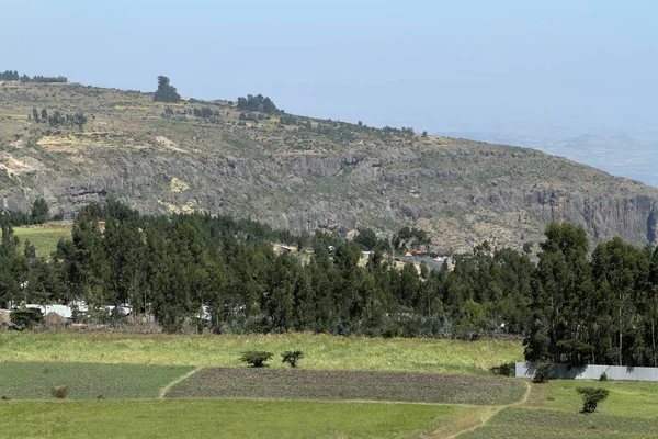 Landwirtschaft und Getreidefelder in Äthiopien — Stockfoto