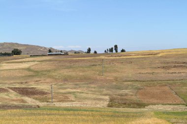 Etiyopya'da tarım ve kırpma alanları