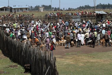 İnsanlar Afrika Etiyopya yolları
