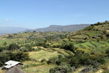 Etiyopya'da tarım ve kırpma alanları