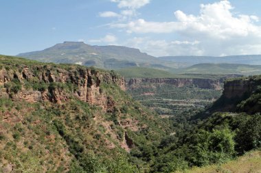 Afrika Etiyopya Rift Vadisi