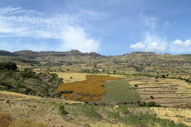 Etiyopya'da tarım ve kırpma alanları