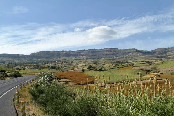 Afrika Etiyopya Rift Vadisi — Stok fotoğraf