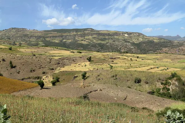 Γεωργία και καλλιέργεια πεδία στην Αιθιοπία — Φωτογραφία Αρχείου