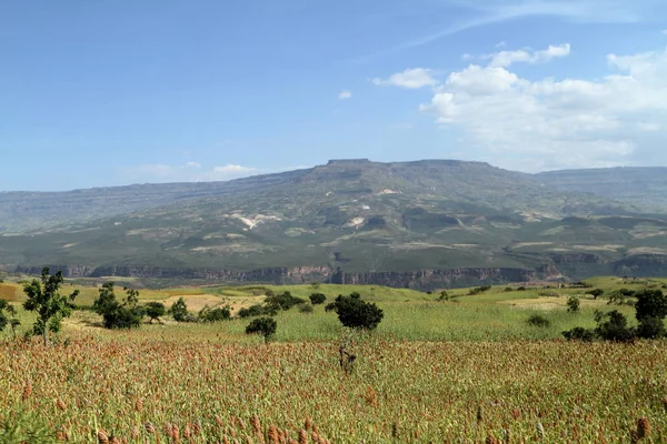 在非洲的裂谷埃塞俄比亚谷 — 图库照片