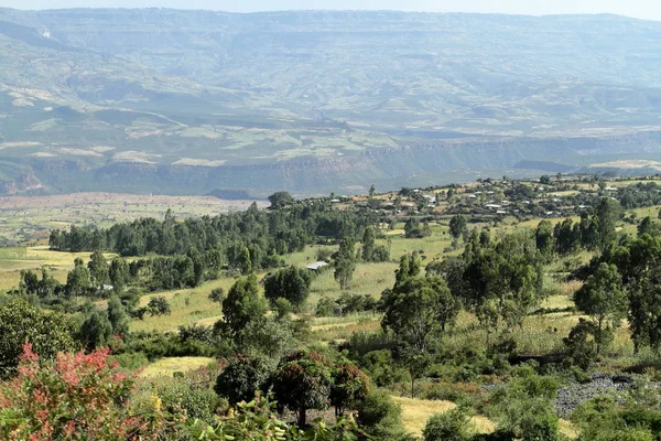 在埃塞俄比亚的风景 — 图库照片