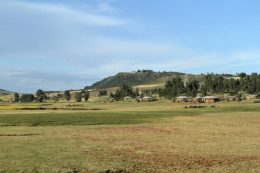 Etiyopya'da manzaralar