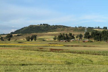 Etiyopya'da tarım ve kırpma alanları