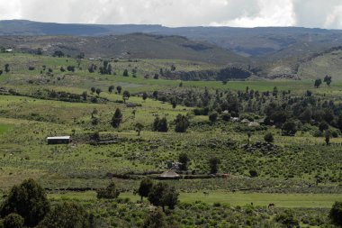 Manzara Etiyopya Bale Dağı Milli Parkı