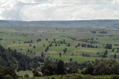 Manzara Etiyopya Bale Dağı Milli Parkı