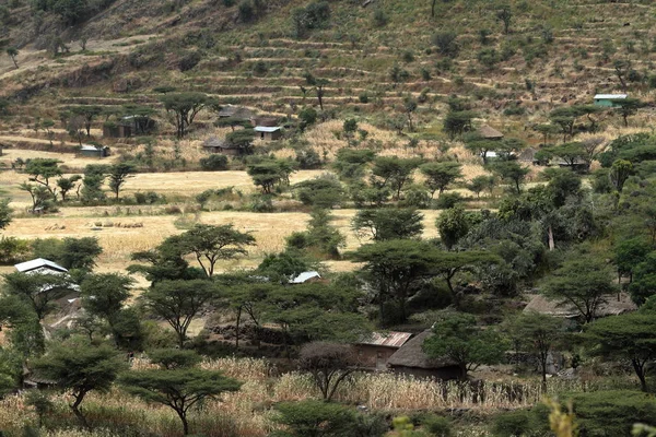 Etiyopya'da geleneksel Afrika köyleri — Stok fotoğraf