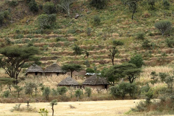エチオピアの伝統的なアフリカの村 — ストック写真