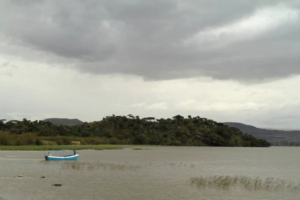 Schilfboote am Ziway-See in Äthiopien — Stockfoto