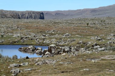 Ulusal parkta Etiyopya dağlarında Bale manzaralar