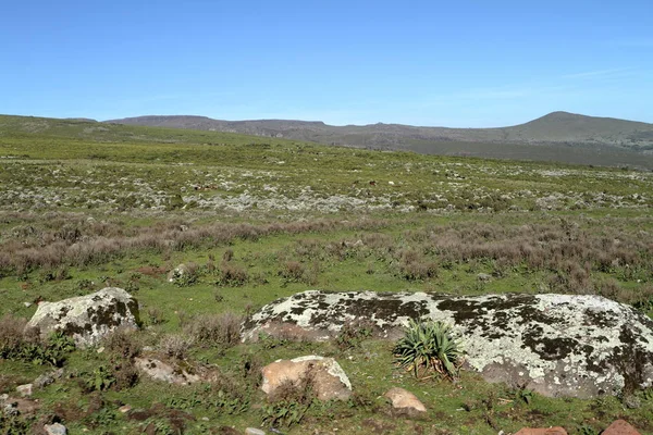 Landskap i nationalparken Bale bergen i Etiopien — Stockfoto