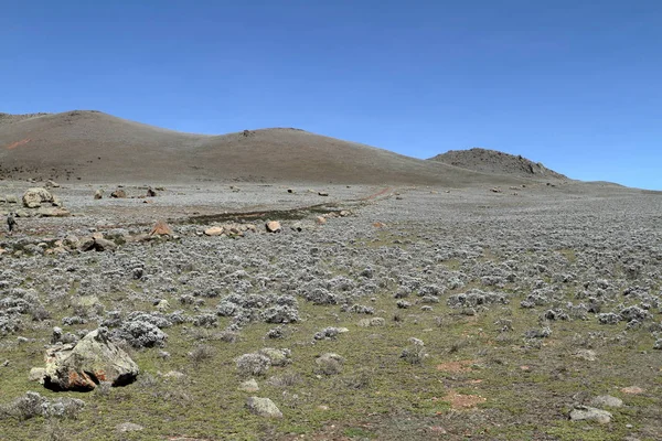 Paisajes en el parque nacional Montañas Bale en Etiopía —  Fotos de Stock