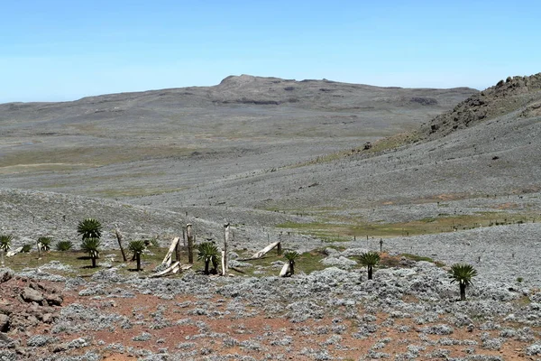 Landschappen in het nationaal park Bale Mountains in Ethiopië — Stockfoto