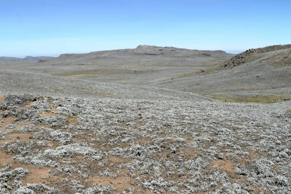 Paisajes en el parque nacional Montañas Bale en Etiopía —  Fotos de Stock