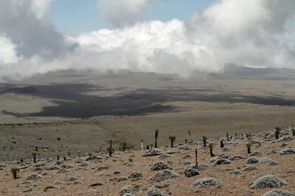 Auf dem Hochplateau der Ballenberge in Äthiopien — Stockfoto