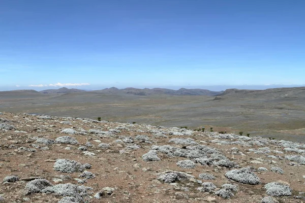 Ulusal parkta Etiyopya dağlarında Bale manzaralar — Stok fotoğraf