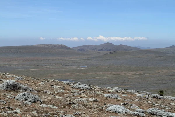 Paesaggi nel parco nazionale Bale Mountains in Etiopia — Foto Stock