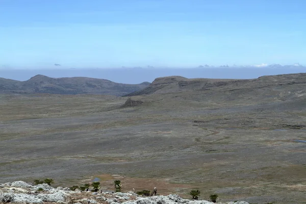 Paesaggi nel parco nazionale Bale Mountains in Etiopia — Foto Stock