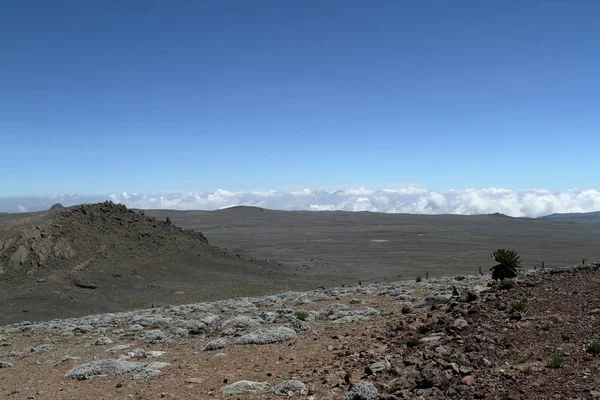 Paisajes en el parque nacional Montañas Bale en Etiopía —  Fotos de Stock