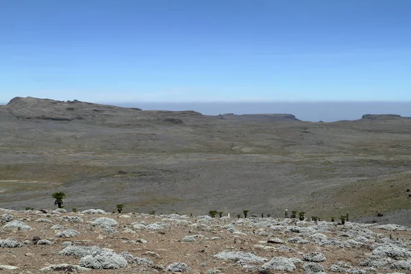 Landschaften im Nationalpark Ballenberge in Äthiopien — Stockfoto