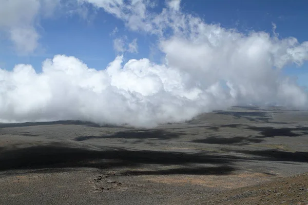 На высоком плато гор Бейл в Эфиопии — стоковое фото