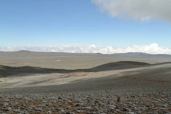 Krajiny v národním parku Bale Mountains v Etiopii — Stock fotografie