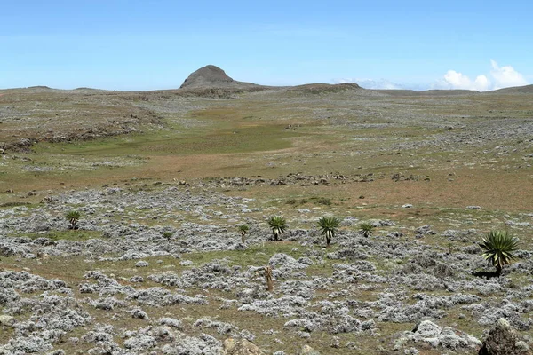 Landschaften im Nationalpark Ballenberge in Äthiopien — Stockfoto