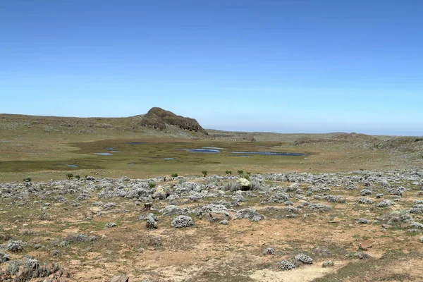 Paysages dans le parc national Bale Mountains en Ethiopie — Photo