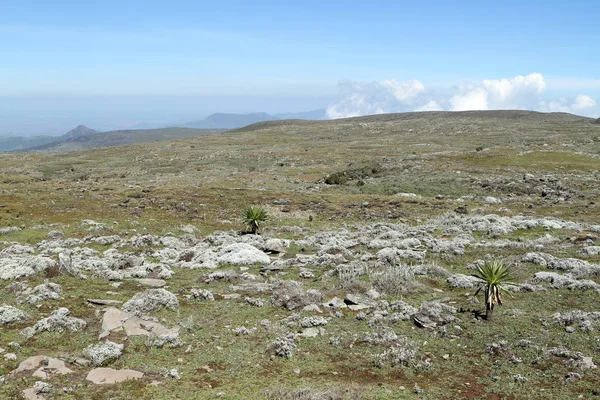 Paisagens no parque nacional Bale Mountains na Etiópia — Fotografia de Stock