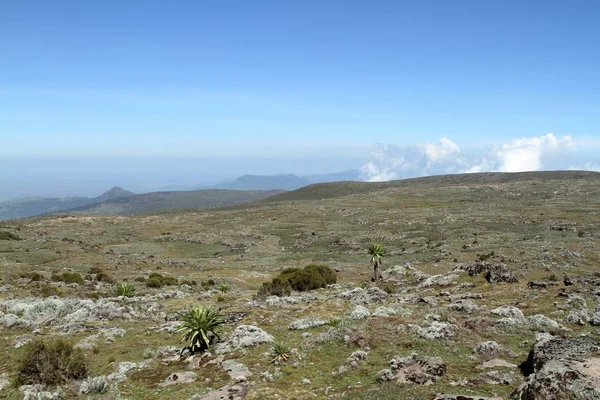 Tájak, a nemzeti park, a Bale-hegységben Etiópiában — Stock Fotó