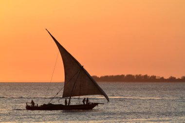 Zanzibar üzerinde günbatımında Yelkenliler