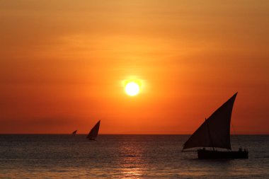 Zanzibar üzerinde günbatımında Yelkenliler