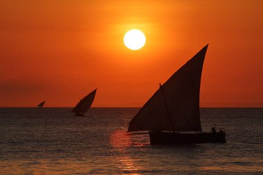 Zanzibar üzerinde günbatımında Yelkenliler