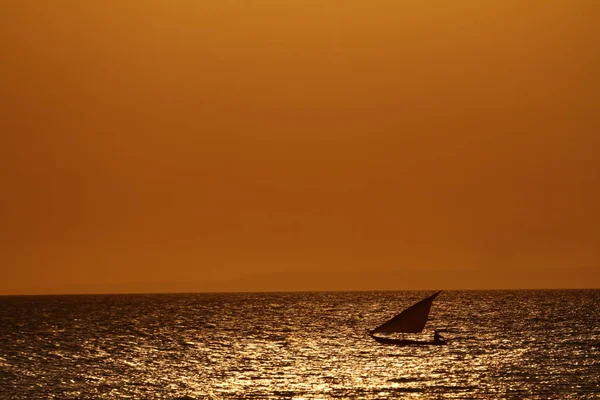 Zanzibar üzerinde günbatımında Yelkenliler — Stok fotoğraf