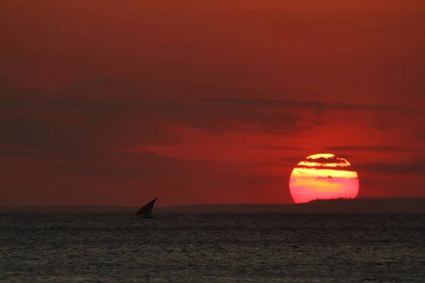 Sailboats in the sunset on Zanzibar — Stock Photo, Image