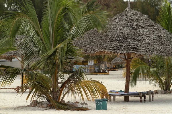 stock image The beach of Zanzibar in the Indian Ocean