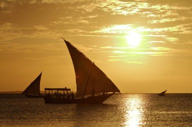 Zanzibar üzerinde günbatımında Yelkenliler