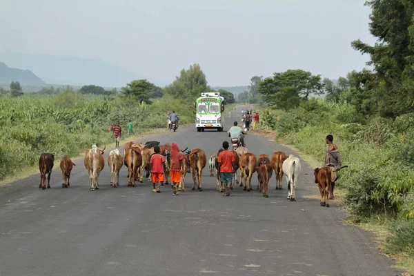 Ruchu drogowego i pieszych w Etiopii — Zdjęcie stockowe
