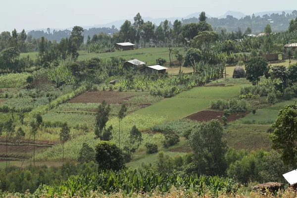 エチオピアのベール山の風景 — ストック写真