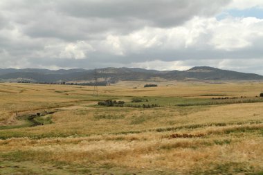 Tahıl alanları ve manzara Etiyopya Bale dağlarda