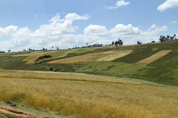 穀物畑やエチオピアのリモートバレ山の風景 — ストック写真