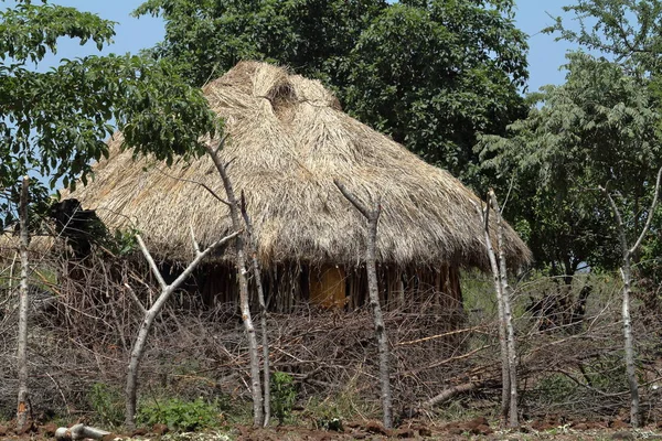 Cabanes traditionnelles en paille dans la vallée de l'Omo en Ethiopie — Photo
