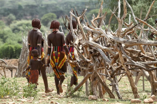 Hamar Etiyopya'da Omo Vadisi kabilesi — Stok fotoğraf